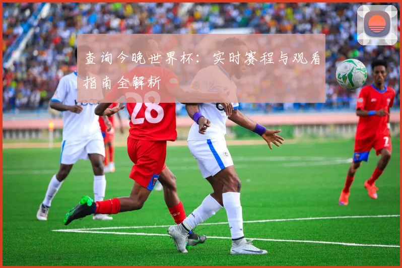 查询今晚世界杯：实时赛程与观看指南全解析